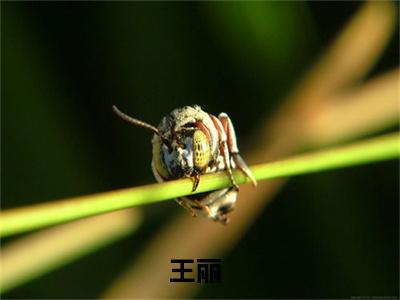 穿回四十年代逃荒去上海全文免费阅读无弹窗-（穿回四十年代逃荒去上海）王丽小说全文在线阅读笔趣阁