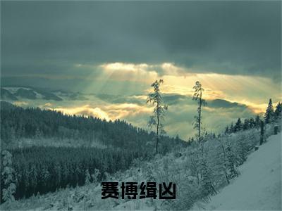（林风）赛博缉凶全文免费阅读无弹窗大结局_赛博缉凶最新章节列表笔趣阁（林风）
