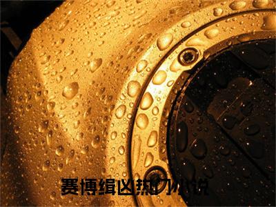 林风小说（赛博缉凶）全文免费阅读无弹窗大结局_赛博缉凶小说最新章节列表_笔趣阁
