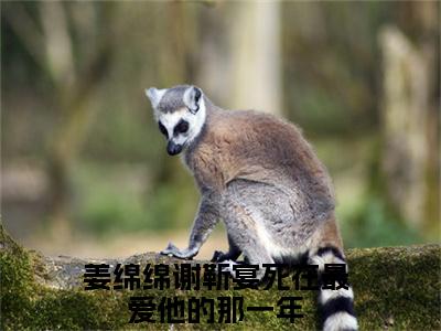 姜绵绵谢靳宴（死在最爱他的那一年）全文免费阅读无弹窗大结局_死在最爱他的那一年小说免费最新章节列表_笔趣阁