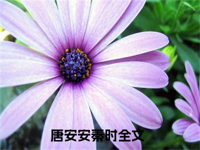 唐安安秦时（唐安安秦时）全文免费阅读无弹窗大结局_唐安安秦时最新章节列表_笔趣阁（唐安安秦时）
