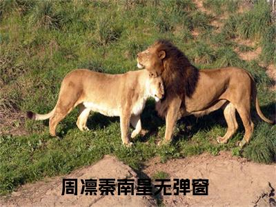 周凛秦南星（这是我欠他的，永远还不清）完整版小说阅读-周凛秦南星小说（这是我欠他的，永远还不清）精彩免费试读