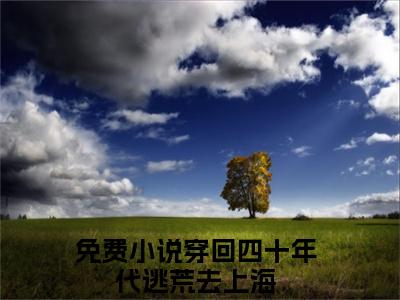 穿回四十年代逃荒去上海（穿回四十年代逃荒去上海）全文免费阅读无弹窗_王丽憨丫小说免费阅读_笔趣阁