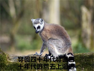 穿回四十年代穿回四十年代逃荒去上海逃荒去上海小说全文免费阅读-王丽憨丫最新章节列表免费阅读