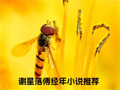 谢星落傅经年新上热文小说-谢星落傅经年推荐阅读已完结