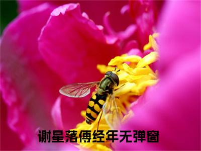 谢星落傅经年（谢星落傅经年)全文免费阅读无弹窗大结局_谢星落傅经年全文免费阅读_笔趣阁（谢星落傅经年）