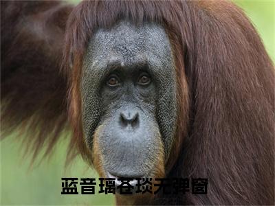 蓝音璃苍琰小说免费阅读无弹窗《蓝音璃苍琰》_蓝音璃苍琰全文阅读