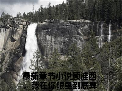 顾淮西夏予沫精彩小说（顾淮西，我在你眼里到底算什么）在哪免费看-小说（顾淮西，我在你眼里到底算什么）全文完整版免费阅读