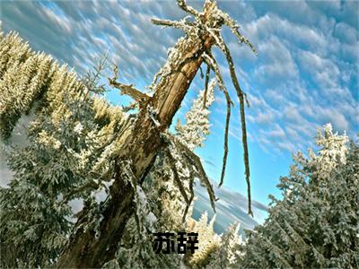 热文（苏辞）美文阅读_热门小说苏辞主人公是（苏辞）最新章节最新章节列表_笔趣阁