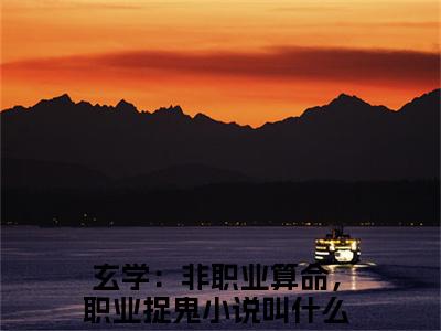 玄学：非职业算命，职业捉鬼小说（卫绵陈金辉已完结小说全集完整版大结局）卫绵陈金辉小说全文阅读笔趣阁