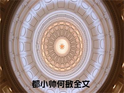 都小帅何敏小说(都小帅何敏)_全章节小说完整版阅读（都小帅何敏）