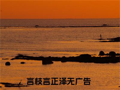 言枝言正泽（言枝言正泽）全文免费阅读无弹窗大结局-（言枝言正泽）言枝言正泽全文完结版阅读