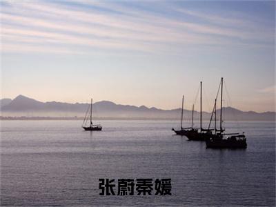 小说被外国夫妇收养后，我成了掌心宠全文免费阅读无弹窗大结局_（张蔚秦媛）全文在线阅读