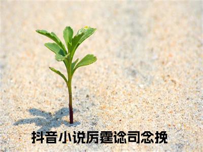 厉霆谂司念挽（厉霆谂司念挽）全文免费阅读无弹窗_厉霆谂司念挽最新小说_笔趣阁（厉霆谂司念挽）