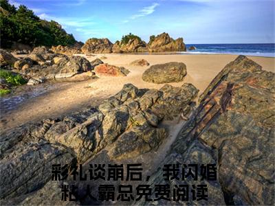 彩礼谈崩后，我闪婚粘人霸总（秦鸣川舒华）全文免费阅读无弹窗大结局_彩礼谈崩后，我闪婚粘人霸总最新章节列表_笔趣阁