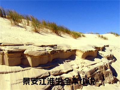 景安江淮生（景安江淮生）全文免费阅读无弹窗大结局_景安江淮生在线阅读（景安江淮生）最新章节列表笔趣阁（景安江淮生）