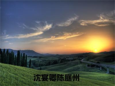 沈宴卿陈庭州(沈宴卿陈庭州)全文免费读无弹窗大结局_沈宴卿陈庭州免费小说无弹窗最新章节列表_笔趣阁