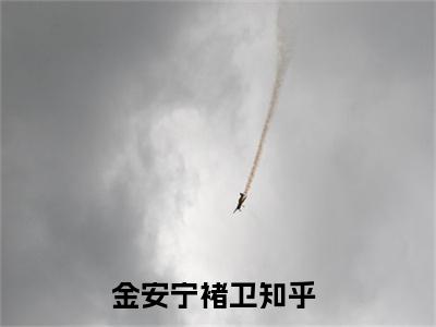 金安宁褚卫（金安宁褚卫）小说全文免费阅读无弹窗-金安宁褚卫全章节在线阅读