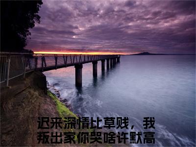 迟来深情比草贱，我叛出家你哭啥许默全文+后续免费阅读_（迟来深情比草贱，我叛出家你哭啥许默全文+后续免费阅读无弹窗）迟来深情比草贱，我叛出家你哭啥许默最新章节列表笔趣阁（迟来深情比草贱，我叛出家你哭啥许默全文+后续）