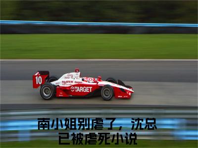 南小姐别虐了，沈总已被虐死小说免费阅读全文（南小姐别虐了，沈总已被虐死）全文免费阅读无弹窗大结局_沈希衍南浅最新章节列表