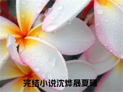 沈烨晟夏曦(沈烨晟夏曦)小说免费阅读无弹窗大结局_(沈烨晟夏曦)沈烨晟夏曦最新章节列表笔趣阁（沈烨晟夏曦）
