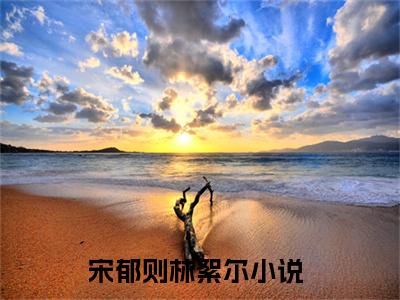 抱歉，这从头到尾都是假的热门小说在哪免费看-小说宋郁则林絮尔（抱歉，这从头到尾都是假的）完整版全文在线赏析