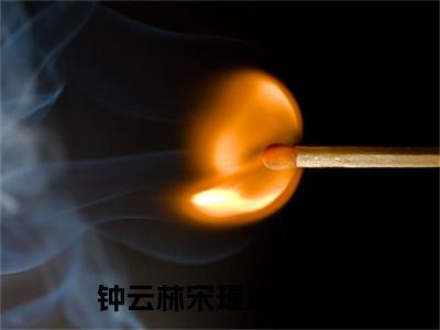 钟云林宋瑾瑜小说阅读 钟云林宋瑾瑜全文免费无广告