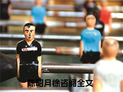陈昭月徐咨阅小说全文免费阅读无弹窗大结局-陈昭月徐咨阅 小说在哪里可以看