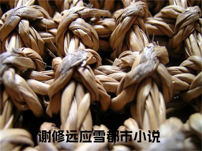 谢修远应雪（谢修远应雪）小说全文在线阅读_谢修远应雪最新章节在线阅读_笔趣阁