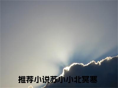 苏小小北冥寒全文免费无弹窗大结局_ 苏小小北冥寒免费苏小小北冥寒最新章节列表_笔趣阁