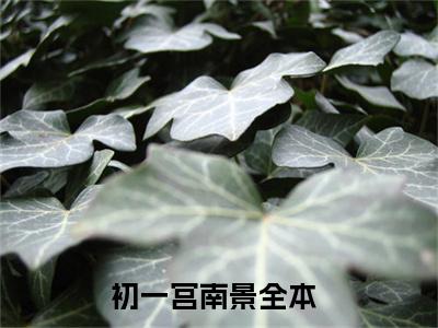 初一宫南景热门榜单小说 初一宫南景完本小说无弹窗免费阅读