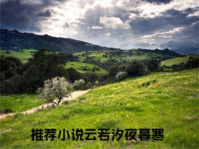 (云若汐夜暮寒)最新章节在线阅读-小说无弹窗免费阅读