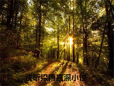 沈听染傅言深全文免费阅读无弹窗_（沈听染傅言深）全文在线阅读大结局