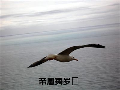 帝凰舞岁玥小说全文免费阅读无弹窗大结局-帝凰舞岁玥 小说在哪里可以看