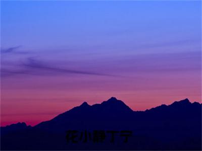 花小静丁宁小说(花小静丁宁)小说全文免费阅读_（花小静丁宁）花小静丁宁最新章节列表
