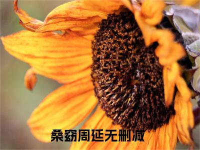 桑窈周延（桑窈周延）小说推荐精彩章节全文阅读-热门小说桑窈周延精选章节阅读