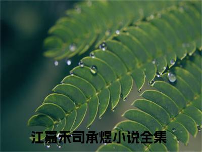 江嘉禾司承煜小说免费大结局全集免费阅读 江嘉禾司承煜章节目录