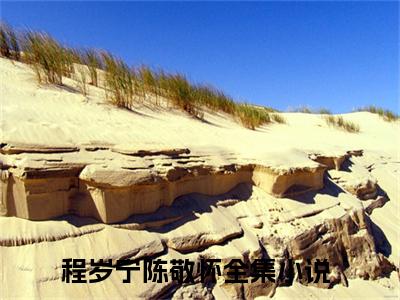 签了离婚协议，今生我们好聚好散（程岁宁陈敬怀）未删减-签了离婚协议，今生我们好聚好散完结版阅读地址