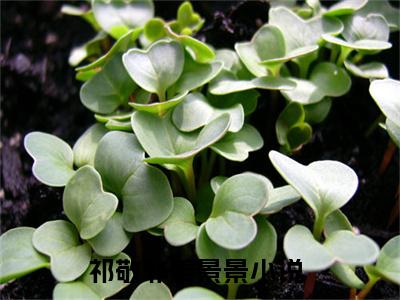 祁敬非姜景景（祁敬非姜景景）全文免费阅读_（祁敬非姜景景）最新章节列表笔趣阁
