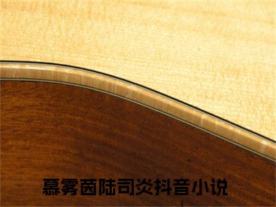 （慕雾茵陆司炎小说）全文免费阅读无弹窗大结局_（慕雾茵陆司炎阅读无弹窗）慕雾茵陆司炎小说章节列表