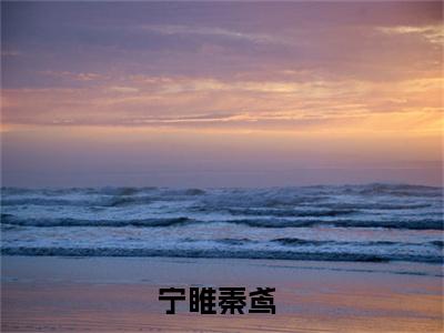 宁睢秦鸢（宁睢秦鸢）全文在线阅读无弹窗大结局_（宁睢秦鸢全文在线阅读无弹窗）宁睢秦鸢最新章节列表_笔趣阁（宁睢秦鸢）