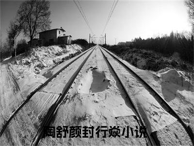 主角是陶舒颜封行焱的小说-（陶舒颜封行焱）完整章节阅读