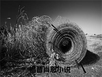 温昔肖恩（温昔肖恩）全文免费阅读无弹窗大结局温昔肖恩