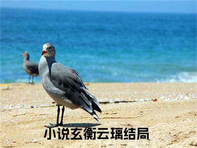 玄衡云璃（玄衡云璃）完整版小说免费阅读全文-玄衡云璃最新在线阅读
