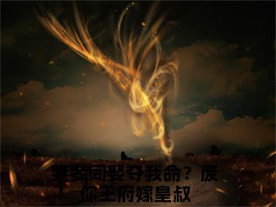 妻妾同娶夺我命？废你王府嫁皇叔全文免费阅读大结局-沈天娇龙乘风最新章节列表笔趣阁