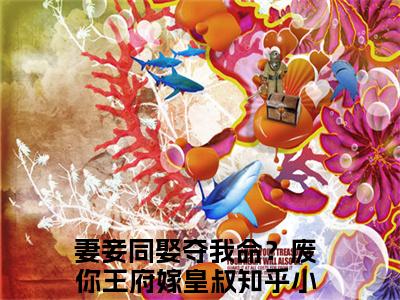 沈天娇龙乘风(妻妾同娶夺我命？废你王府嫁皇叔)小说全文免费阅读无弹窗大结局_（妻妾同娶夺我命？废你王府嫁皇叔）沈天娇龙乘风最新章节列表