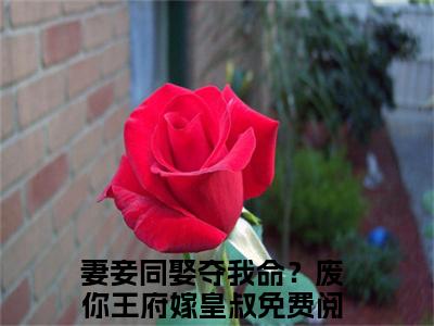 主角是妻妾同娶夺我命？废你王府嫁皇叔的小说叫什么名字沈天娇龙乘风-完结版小说妻妾同娶夺我命？废你王府嫁皇叔