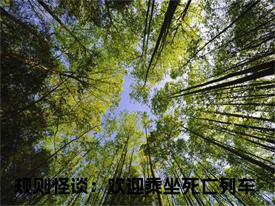 徐淼（规则怪谈：欢迎乘坐死亡列车）小说最新章节在线阅读-徐淼（规则怪谈：欢迎乘坐死亡列车）已完结全集大结局