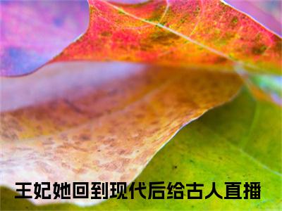 桑榆阅读无弹窗大结局_王妃她回到现代后给古人直播穿越小说免费阅读_笔趣阁