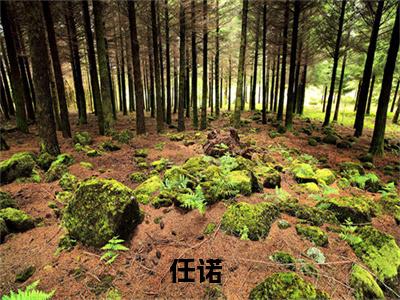 天降三岁半小奶包小说免费阅读全文在线阅读，任诺的小说在线阅读全文